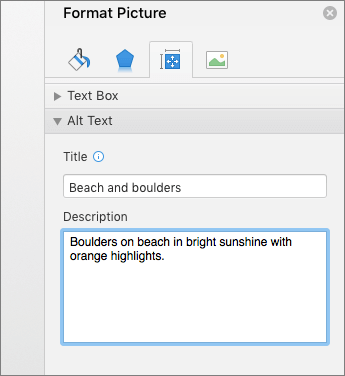 Capture d’écran de la zone Texte de remplacement du volet Format de l’image décrivant l’image sélectionnée
