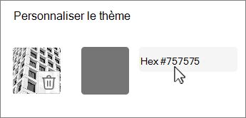 Capture d’écran modifier la couleur en tant que valeur hexadécimale