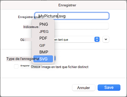 Boîte de dialogue Enregistrer sous Outlook 2021 pour Mac avec l’option SVG sélectionnée