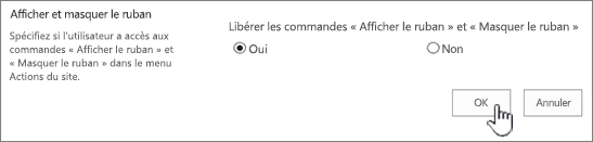 Option Afficher/masquer le ruban, avec l’option OK sélectionnée