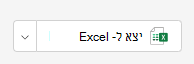 ייצוא ב- Excel