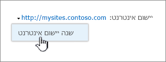 האפשרות 'שנה יישום אינטרנט'