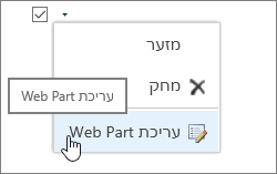 תפריט עריכת Web Part מסומן