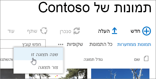 סרגל התצוגה 'ספריית תמונות' כאשר האפשרות 'שנה תצוגה' נבחרה