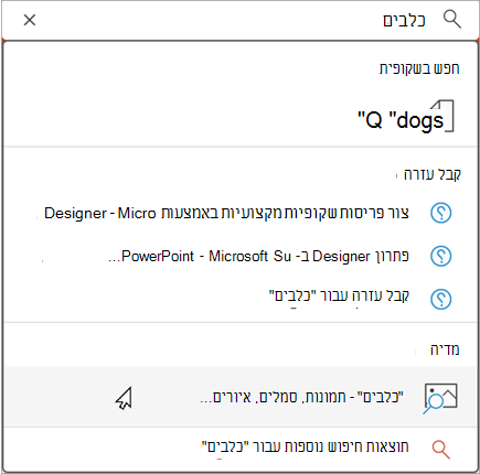 הקלד בסרגל החיפוש כדי לראות תוצאות מוצעות