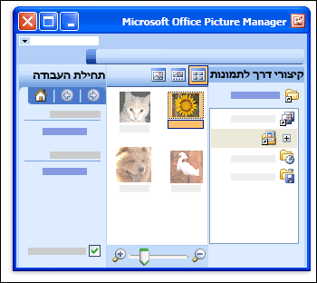 Picture Manager נפתח ומציג שלוש חלוניות.