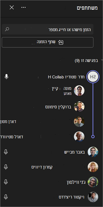 צילום מסך שמציג כיצד משתתפי פגישה מקובצים בלוח השיחות