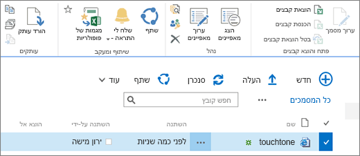 עריכת מקטע ברצועת הכלים כאשר הפריט נבחר