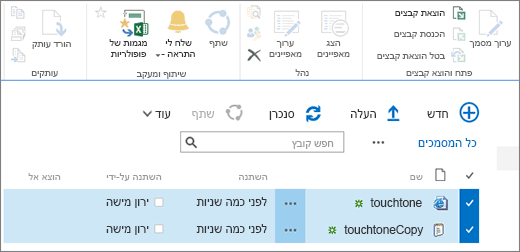 עריכת חלק מרצועת הכלים עם שני פריטים שנבחרו ברשימה