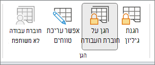 האפשרות 'הגן על חוברת העבודה' מסומנת