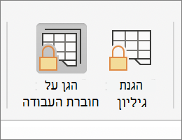 האפשרות 'הגן על חוברת עבודה' מסומנת ב- MacOS