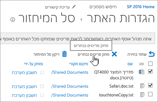 לחצן 'מחק' בדף 'מחק' של SharePoint 2016 מסומן