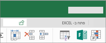 לחצן 'ערוך ב- Excel'