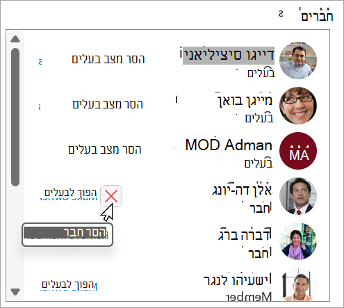 בתיבה חברים, באפשרותך להסיר מצב בעלים, להפוך חבר לבעלים או למחוק חבר.