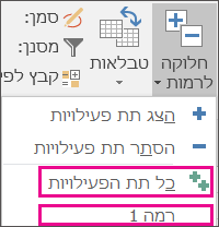 תת פעילות06