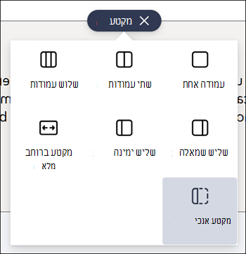 מקטע אנכי מסומן ברשימה של סוגי מקטעים