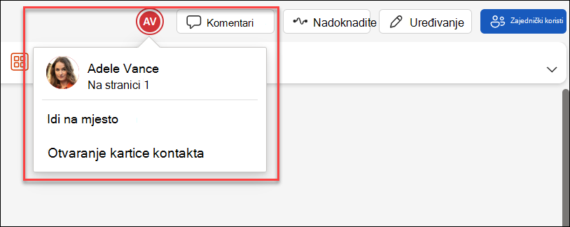 Snimka zaslona suradnika na istoj datoteci