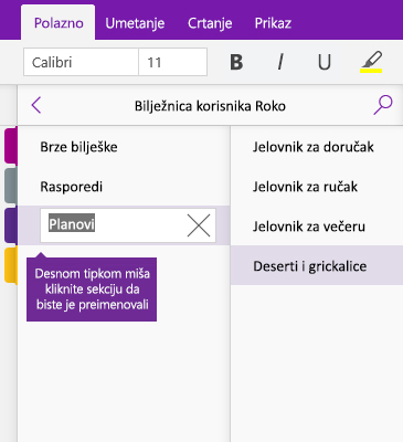Snimka zaslona s prikazom preimenovane sekcije u programu OneNote
