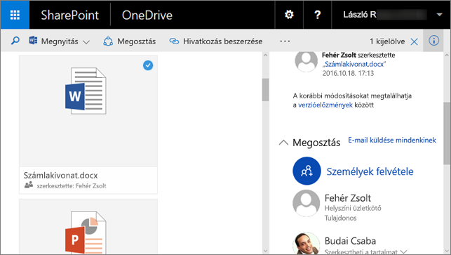 Képernyőkép a Részletek panelről az 1. funkciócsomaggal bővített SharePoint Server 2016 részét képező vállalati verziós OneDrive-ban