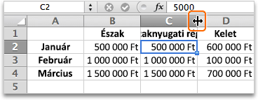 Move pointer between column heading C and D, then double-click