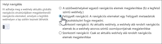 A Helyi navigáció szakasz bejelölt Felügyelt navigáció választógombbal