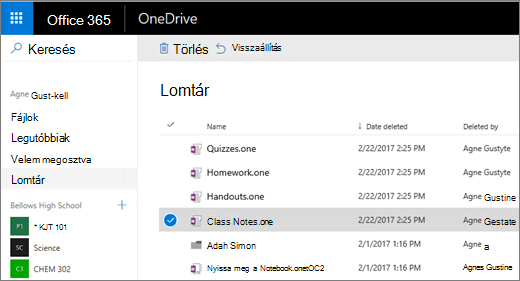 A OneDrive Lomtár és a jegyzetfüzet oldalakat. Ikonok, törölheti vagy visszaállíthatja.