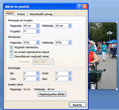 Format Picture dialog box