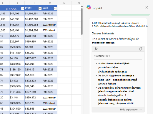 Képernyőkép a képletek magyarázatáról az Excel Copilot használatával.