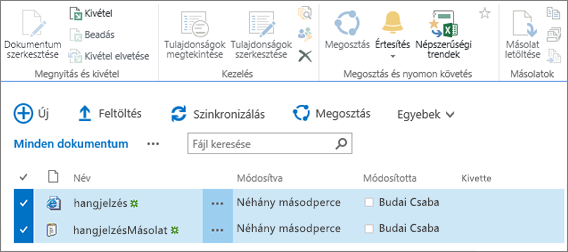 A menüszalag Szerkesztése része két kijelölt listaelemmel