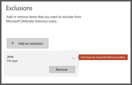 The Exclusions page of Windows Security showing an exclusion selected, revealing the Remove button.