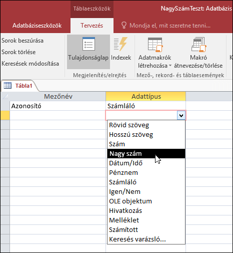 Képernyőkép egy Access-táblában található adattípusok listájáról Nagy szám van kijelölve.
