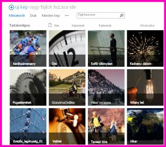 Képernyőkép egy SharePoint-eszköztárról. Több, a tárban található videó és kép miniatűrképét jeleníti meg. Emellett a médiaeszközök szokásos metaadatoszlopait is megjeleníti.