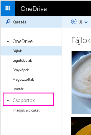 Windows Live-csoportok a OneDrive-on