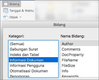 Cuplikan layar yang memperlihatkan kode bidang yang difilter menurut kategori Informasi Dokumen