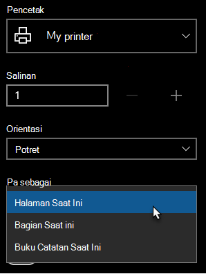 Dialog printer dengan satu halaman dipilih