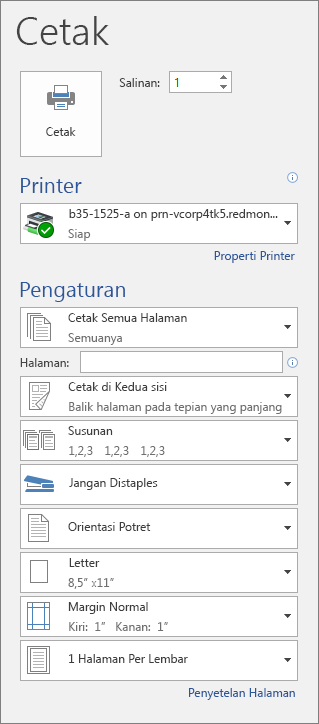 Cuplikan layar panel Cetak dengan berbagai pengaturan cetak, seperti jumlah salinan.