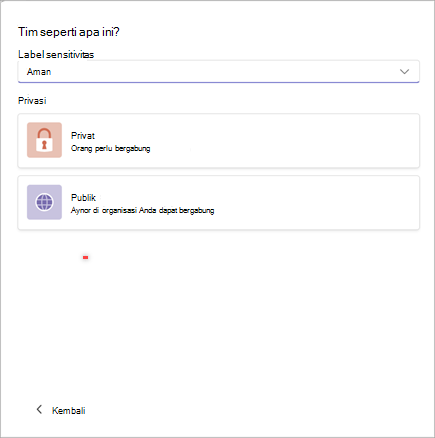 Cuplikan layar jendela untuk membuat tim baru di Microsoft Teams dengan opsi untuk mengatur sensitivitas sebagai "Aman" dan privasi sebagai "Pribadi" atau "Publik."