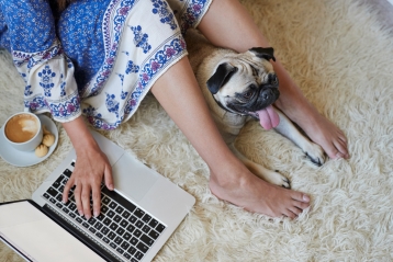 Anjing pug dengan pemiliknya dan laptop
