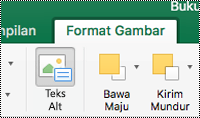 Tombol Teks Alt untuk gambar di pita dalam Excel untuk Mac