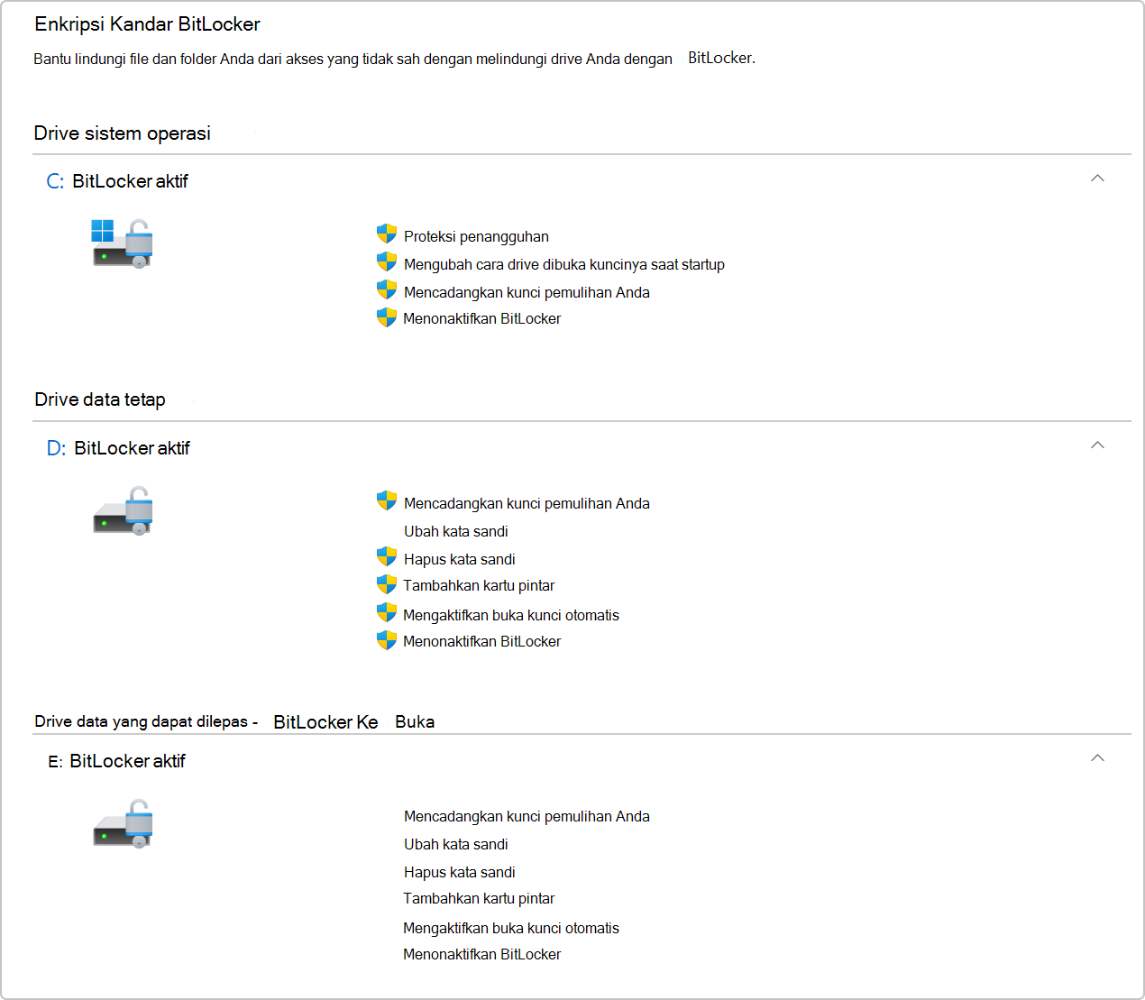 Cuplikan layar Enkripsi Drive BitLocker di Panel Kontrol.