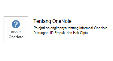 The screenshot for OneNote MSI 