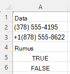 Menggunakan REGEXTEST untuk memeriksa apakah nomor telepon berada dalam sintaks tertentu, dengan pola "^\([0-9]{3}\) [0-9]{3}-[0-9]{4}$"
