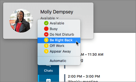 Cuplikan layar potret di jendela Skype, dengan dialog status kehadiran dipilih.
