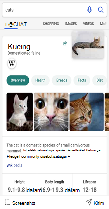 Layar pencarian Bing dengan results.png