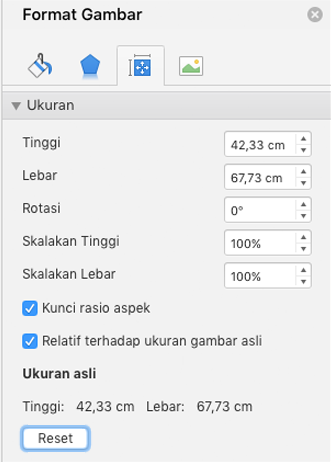 cuplikan layar yang memperlihatkan panel Format Gambar dari Excel dengan tombol Atur Ulang disorot.