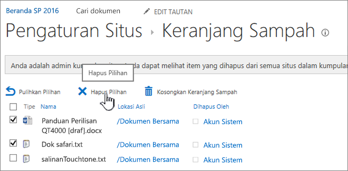 Tombol Hapus Halaman Sampah SharePoint 2016 disorot