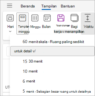 Cuplikan layar memperlihatkan skala Waktu di bawah tab Tampilan dengan 30 menit dipilih