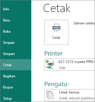 Cuplikan layar opsi Cetak di Publisher.
