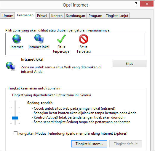 Tab Keamanan Opsi Internet Explorer, memperlihatkan tombol tingkat kustom