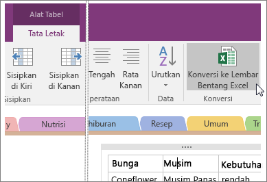 Cuplikan layar tombol Konversi ke Lembar Bentang Excel di OneNote 2016.
